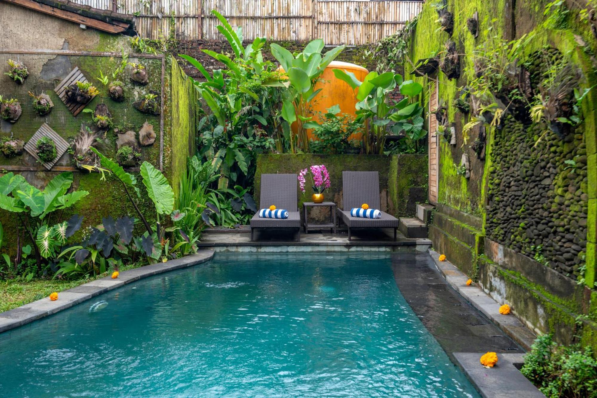Villa The Alus And